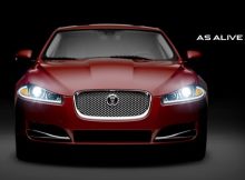 Jaguar-xfalive