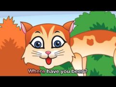 pusy cat pusy cat