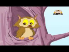 A wise old owl lived in an oak Poem Lyrics and Video HD