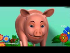 The dog says bow wow The cat says meow Lyrics | Bow wow says the dog video Nursery Rhymes