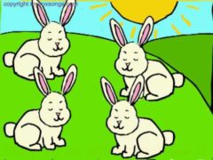 Sleeping Bunnies Song Lyrics and Video See the bunnies